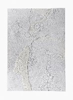 Célio Braga, 06. Untitled (White Blur), 2017. Cuts and carvings on paper. 29.5 x 21 cm
PHŒBUS•Rotterdam